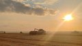 Липецкая область увеличила намолот сои к 14 сентября почти на 70%