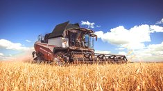 В Брянской области зерновые убраны на 87%, рапс — на 83% площадей