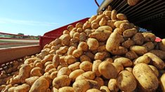 В Новгородской области подведены итоги сезонных полевых работ