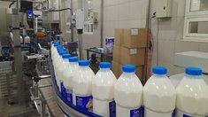 В Красноярском крае начался отбор на субсидии для переработчиков молока