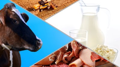 Обзор цен сельхоз­товаропроизводителей в Рязанской области