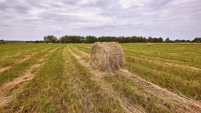 В Тверской области травы скошены на 20% площади от плана