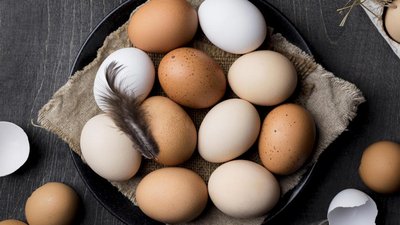 За 8 месяцев костромские птицефабрики произвели 642 млн куриных яиц