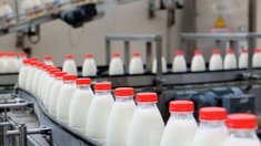 В Подмосковье вырос объем производства молочной продукции