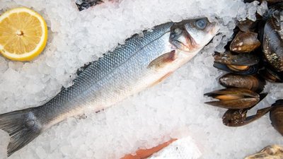 Экспорт рыбной продукции из РФ по итогам 2023 года составит 2,3 млн т — ВАРПЭ