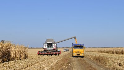 Донские аграрии засеяли озимыми культурами 30% площадей