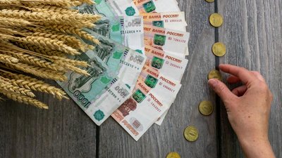 Правительство РФ снизило до 5% ставку по льготным кредитам для сельхозпроизводителей 