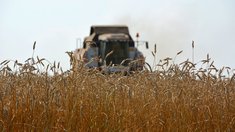 Челябинская область держит высокий темп уборочной