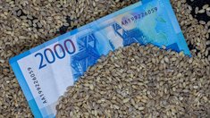 Экспорт зерна из РФ в этом сезоне может составить 60 млн т — эксперты