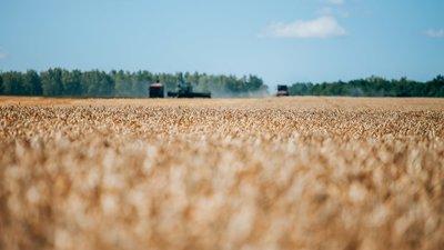 На каждую тонну реализованного в Чувашии зерна государство выплатило аграриям около 1,5 тыс. рублей