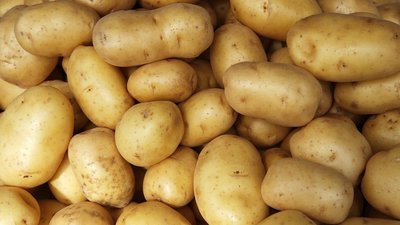 Подмосковное предприятие завершит реконструкцию двух картофелехранилищ к сентябрю