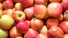 Урожай яблок в России в 2025 году ожидается на уровне 2 млн т