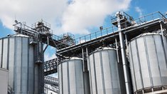 ОЗК отобрала свыше 50 площадок для хранения 1,5 млн тонн зерна госфонда
