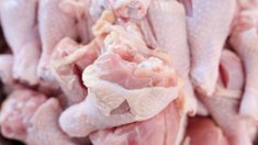 Минсельхоз сообщил о корректировке цен на мясо птицы