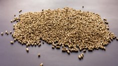 Экспорт шротов из РФ за три года переориентировался на страны Азии и ближнего зарубежья