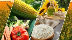 В Алтайском крае за первый квартал производство пищевых продуктов выросло на 1,8%