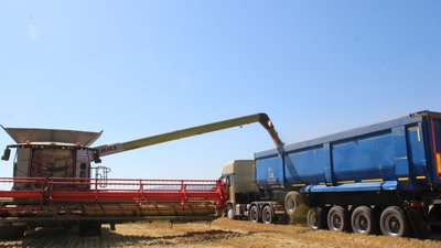 Аграрии Красноярского края собрали более полумиллиона тонн зерна