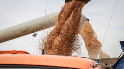 Более чем в пять раз вырос экспорт продукции АПК Липецкой области за шесть лет