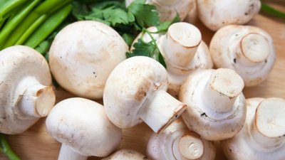 Производство культивируемых грибов в России достигло рекорда
