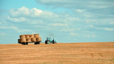 В Алтайском крае набирает обороты заготовка кормов