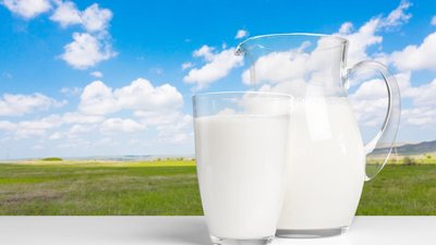 В Карачаево-Черкесии получено 177,9 тыс. т молока — на 1,9% больше, чем год назад