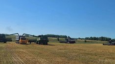 Кузбасс намолотил 806 тыс. тонн зерна и выполнил 58% уборочного плана