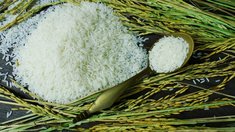 Ограничения на экспорт риса будут сняты — профильный союз