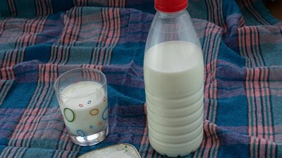 Производство молока в Вологодской области за 10 лет выросло на 44,5%