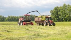 В Ивановской области заготовлено 57 тыс. тонн грубых и сочных кормов для животноводства