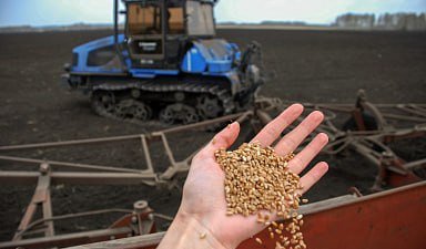 Российские аграрии наращивают объемы закупки семян к весеннему севу