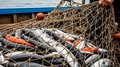 Зарплата в рыболовстве одна из самых высоких среди отраслей экономики РФ — Росрыболовство