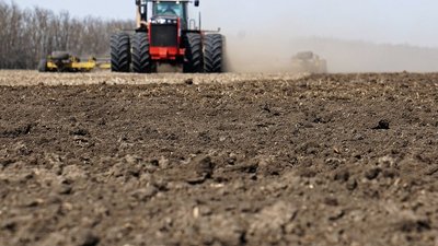 В Ростовской области озимыми засеяно более 1 млн 380 тысяч гектаров