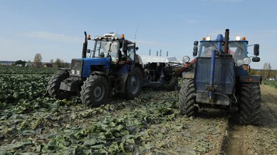Вологодские аграрии увеличили урожай зерна и овощей