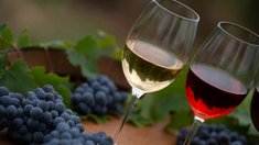 В России меняется восприятие отечественного вина как продукта — эксперт