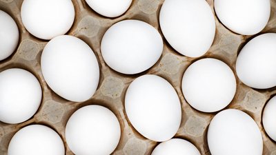 Чеченские хозяйства нарастили выпуск продукции животноводства
