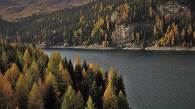Для Дальнего Востока сформируют дополнительные механизмы поддержки сельского хозяйства