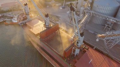 Экспортные и внутренние цены на пшеницу продолжили укрепляться