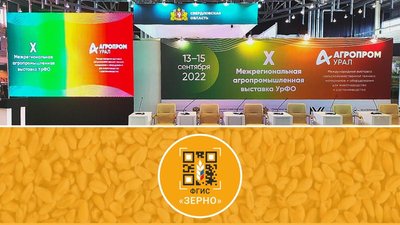 Во ФГИС «Зерно» зарегистрировано более 600 свердловских организаций