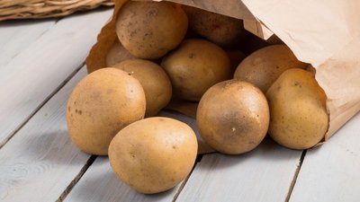 Урожай картофеля в России в 2026 году может превысить пятилетний уровень на 3%