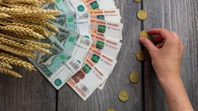 Аграриям Ивановской области перечислено 94% господдержки