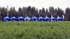 В Челябинской области прошло совещание картофелеводов