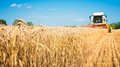 Аграрии Воронежской области намолотили 3 млн т зерна