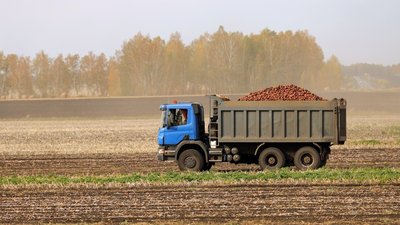 В Саратовской области обмолочено 90% площадей зерновых и зернобобовых культур