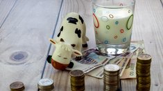 Аграрии Ингушетии в 2025 году получили 506 млн руб. на развитие отрасли