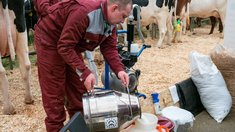 Суточный надой молока в Кировской области превысил 2,3 тыс. т 