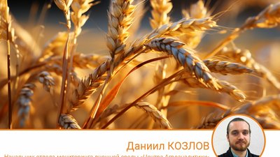 В прошедшем зерновом сезоне РФ заметно нарастила поставки в отдельные страны Азии и Африки