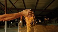 В Саратовской области началось строительство нового мукомольного завода