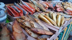 Более 49 тонн продукции реализовано в 2025 году на ярмарках в Тюменской области