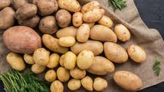Россия вошла в топ-3 среди G20 по доступности картофеля — РИА «Новости»