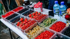 На Фестиваль ягод Чувашии свою продукцию готовы привезти 19 фермеров